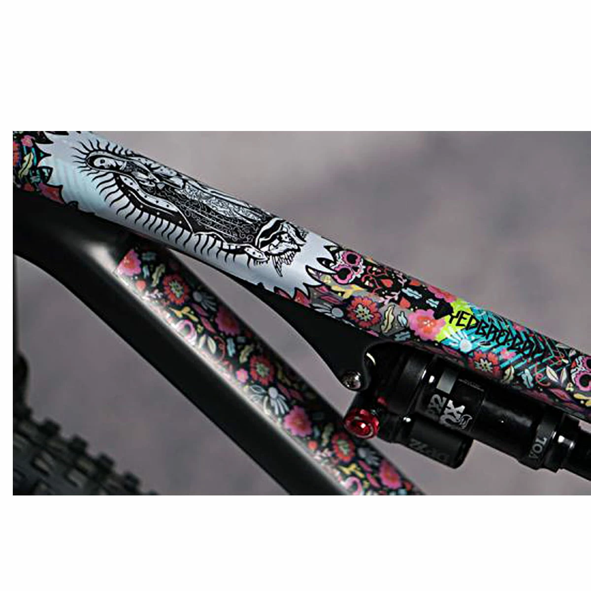 Dyedbro Kit De Protection Du Cadre - Guadalupe – Image 2